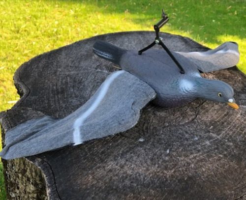 Coppia colombacci ali aperte in tessuto /