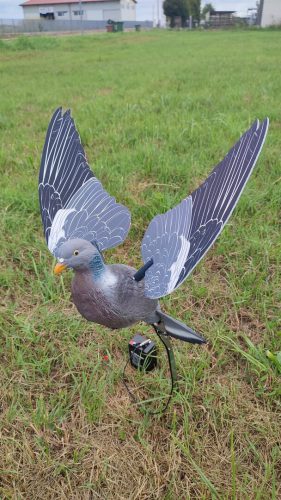 Colombaccio con intermittenza con telecomando /2