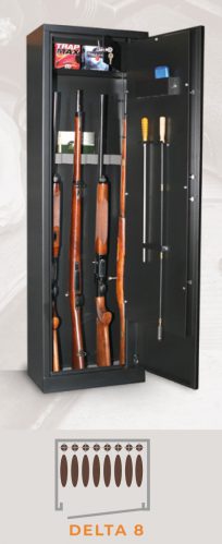 Cassaforte / Delta 8