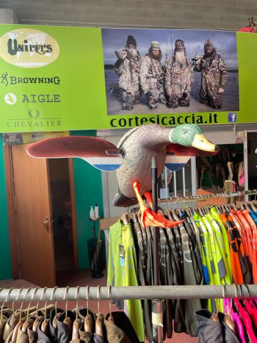 Germano maschio con ali girevoli /