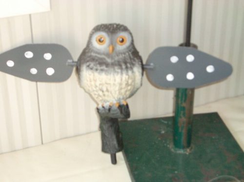 Civetta ali rotanti /