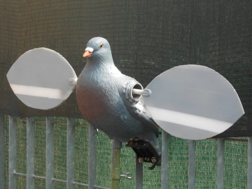 Colombaccio ali rotanti /