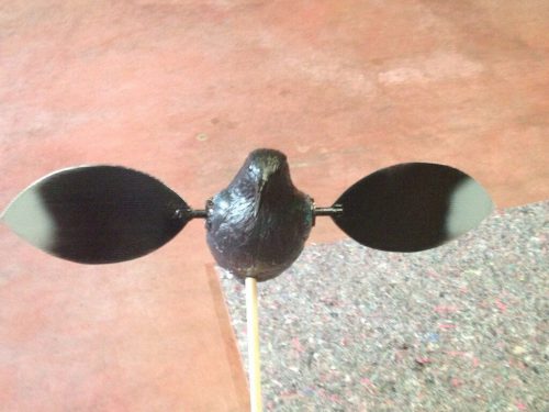 Cornacchia ali rotanti /